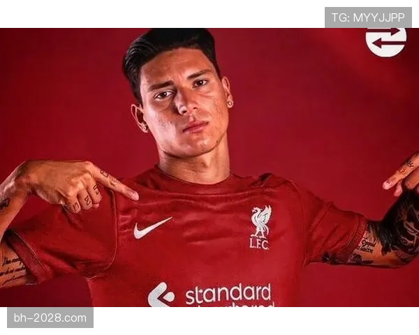 努涅斯转会费是否存在溢价：能力匹配度与市场定价机制分析