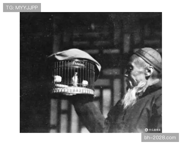 张楠退役后住进北京四合院，每天打太极遛鸟，这日子比顶流还滋润