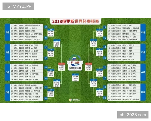 荷兰、日本、瑞典、突尼斯竞争格局分析